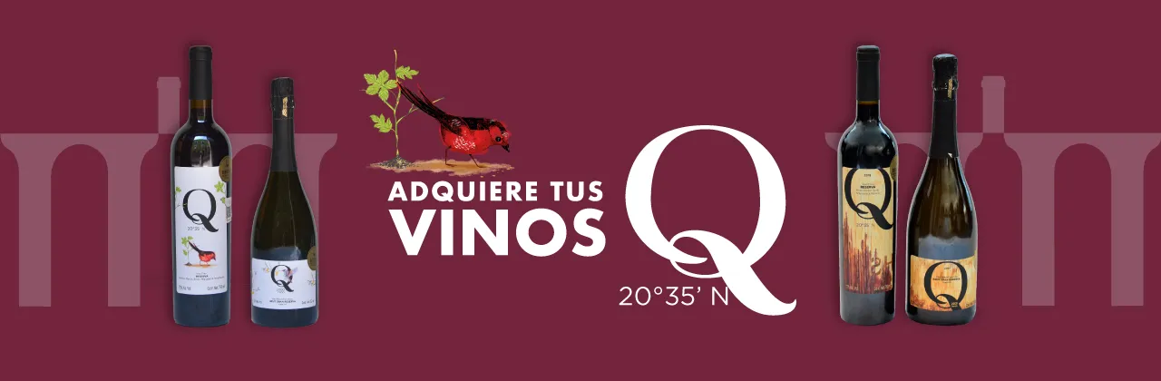 AVQ_Banner_VinoQ_11zon
