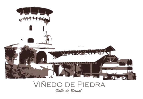 Viñedo de Piedra