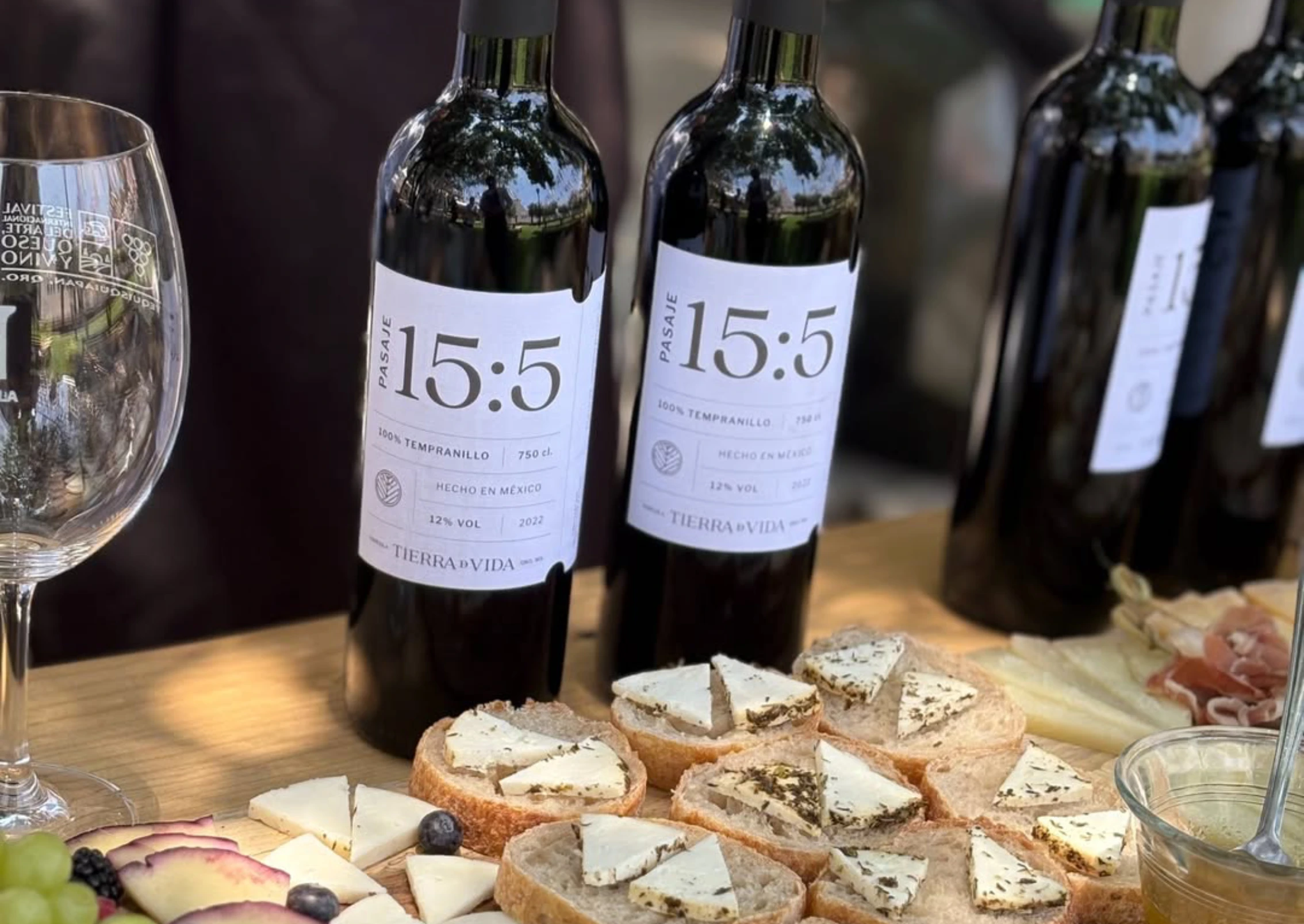 Viñedo Tierra de Vida