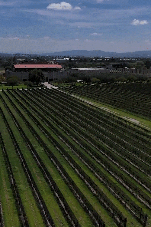 Región Querétaro